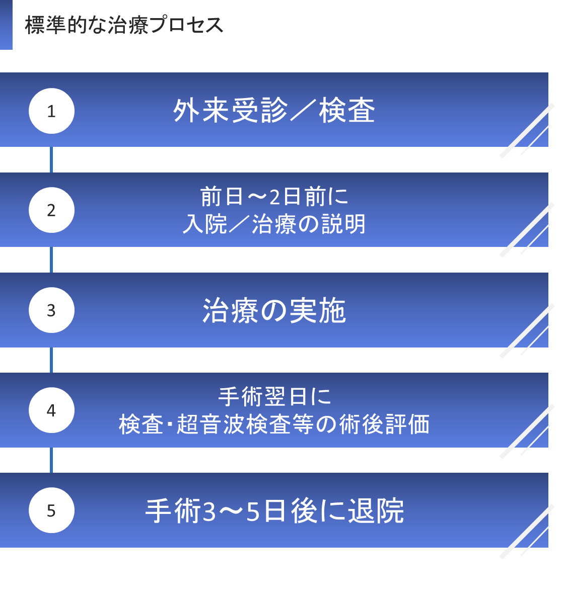 経皮的僧帽弁接合不全修復術 Mitraclip 榊原記念病院 東京都府中市